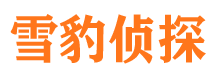 夏河市婚外情调查